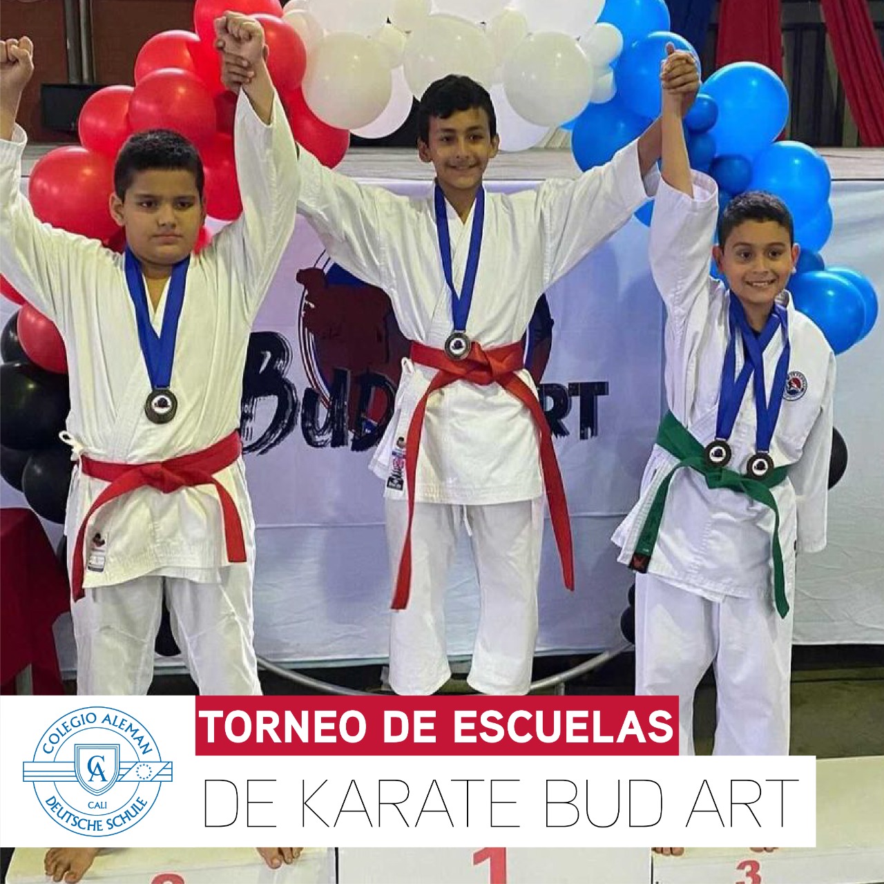 Torneo de Escuelas de Karate Bud Art,
